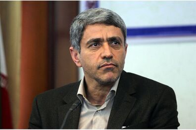 طیب نیا از همکاری نکردن بانک‌های خارجی با ایران انتقاد کرد