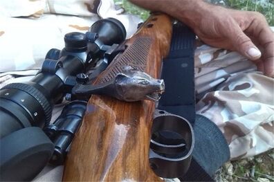 کشف سلاح قاچاق گلوله زنی در شاهرود