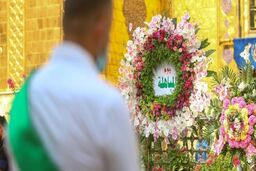جشن مباهله در حرم امام علی (ع) برگزار شد +تصاویر