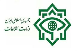 دستگیری اعضای شبکه تروریستی-صهیونیستی در چند استان کشور
