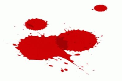 درگیری مرگبار راننده اتوبوس در ترمینال آزادی