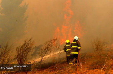 آتش سوزی در شیلی