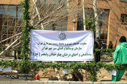 احیای درختان خیابان ولیعصر (عج)