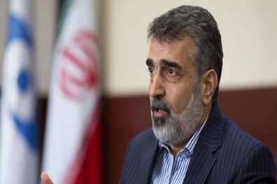 سازمان ‌های امنیتی ما باید حادثه نطنز را دقیق بررسی کنند 