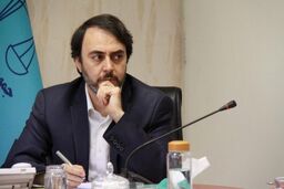ظرفیت های شهر تهران و بوستان ولایت نیازمند حمایت است