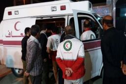تمام کشته شدگان حادثه کربلا از اهالی عراق هستند