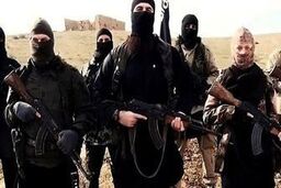 هلاکت سرکرده داعش در عملیات ترکیه در شمال سوریه 
