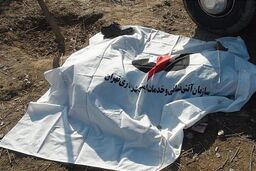 جسد راننده وانت در خانی آبادنو کشف شد