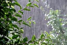 هواشناسی 6 تیر / احتمال آبگرفتگی معابر در ۳ استان