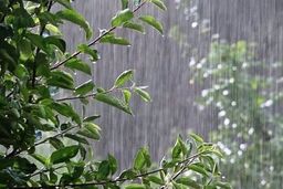 احتمال توفان لحظه‌ای و رگبار شدید باران در تهران