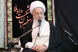 دعوت مکارم شیرازی از آحاد مردم برای حضور در راهپیمایی 22 بهمن 
