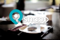 اختلال در نرم افزار اسنپ