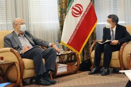 دیدار معاون بخش خاورمیانه شرکت نفت چین با وزیر نفت کشورمان 