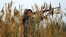 دستگیری 253 نفر شکارچی غیرمجاز در خراسان‌جنوبی