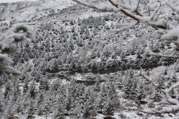 گزارش فیفا از تیم فوتبال ساحلی ایران