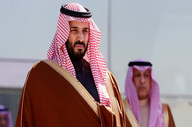 محمد بن سلمان با صدر اعظم اتریش گفتگو کرد