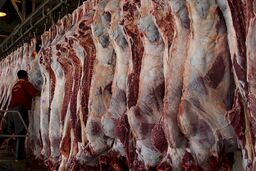 قیمت لجام گسیخته گوشت در ۸ ماه