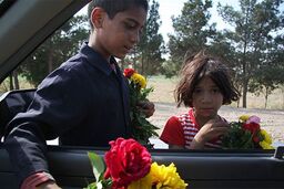 ۲۰هزار کودک کار در کلانشهر تهران فعالیت می‌‌کنند.