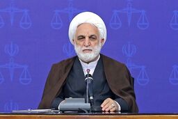 سازمان بازرسی کل کشور به نحوه اجرای قانون جامع حمایت از معلولان نظارت کند