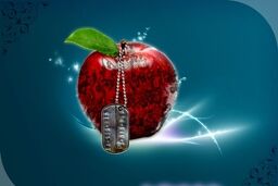 راه‌اندازی اتاق فکر و فعالیت مشترک کنگره فرهنگ حماسه